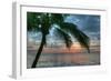 Key West Sunrise One Palm-Robert Goldwitz-Framed Photographic Print