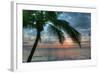 Key West Sunrise One Palm-Robert Goldwitz-Framed Photographic Print