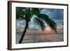 Key West Sunrise One Palm-Robert Goldwitz-Framed Photographic Print