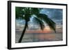 Key West Sunrise One Palm-Robert Goldwitz-Framed Photographic Print