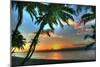 Key West Sunrise VII-Robert Goldwitz-Mounted Premium Photographic Print