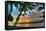 Key West Sunrise VII-Robert Goldwitz-Framed Stretched Canvas