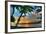 Key West Sunrise VII-Robert Goldwitz-Framed Photographic Print