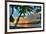 Key West Sunrise VII-Robert Goldwitz-Framed Photographic Print