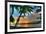 Key West Sunrise VII-Robert Goldwitz-Framed Photographic Print