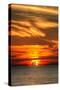 Key West Sunset Vertical II-Robert Goldwitz-Stretched Canvas
