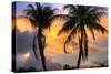 Key West Two Palm Sunrise-Robert Goldwitz-Stretched Canvas