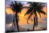 Key West Two Palm Sunrise-Robert Goldwitz-Mounted Photographic Print