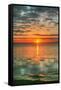 Key West Vertical-Robert Goldwitz-Framed Stretched Canvas