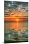 Key West Vertical-Robert Goldwitz-Mounted Photographic Print