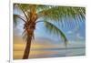 Key West-Jack Reed-Framed Photographic Print