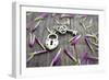 Key With Heart Shaped Lock-kbuntu-Framed Art Print