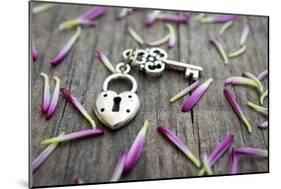 Key With Heart Shaped Lock-kbuntu-Mounted Art Print