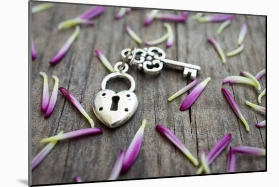 Key With Heart Shaped Lock-kbuntu-Mounted Premium Giclee Print