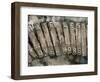 Key Words II-Sydney Edmunds-Framed Premium Giclee Print