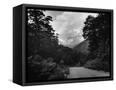 Canvas Black