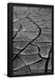 Essential Black