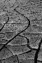 Laminate