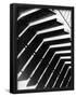 Essential Black