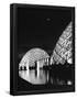 Essential Black