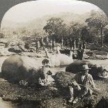 Result of a Morning's Hippopotamus Hunt on Mlembo River, Rhodesia, Africa, 1910-Keystone View Company-Framed Stretched Canvas