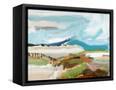 Canvas Black