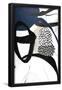 Essential Black