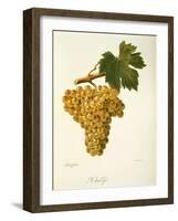 Khardji Grape-A. Kreyder-Framed Giclee Print