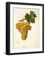 Khardji Grape-A. Kreyder-Framed Giclee Print