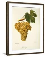 Khardji Grape-A. Kreyder-Framed Giclee Print