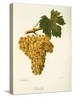 Khardji Grape-A. Kreyder-Stretched Canvas