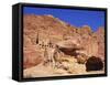 Khazneh, Petra, Jordan-Neale Clarke-Framed Stretched Canvas