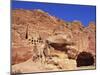 Khazneh, Petra, Jordan-Neale Clarke-Mounted Photographic Print