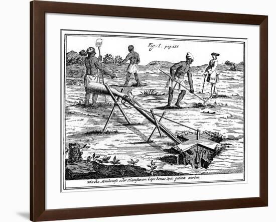 Khoikhois Catching Moles, South Africa, 18th Century-null-Framed Giclee Print