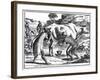 Khoikhois Milking Cows and Making Butter, South Africa, 18th Century-null-Framed Giclee Print