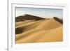 Khongor sand dunes in Gobi Gurvan Saikhan National Park, Sevrei district, South Gobi province, Mong-Francesco Vaninetti-Framed Photographic Print