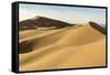 Khongor sand dunes in Gobi Gurvan Saikhan National Park, Sevrei district, South Gobi province, Mong-Francesco Vaninetti-Framed Stretched Canvas