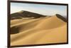 Khongor sand dunes in Gobi Gurvan Saikhan National Park, Sevrei district, South Gobi province, Mong-Francesco Vaninetti-Framed Photographic Print