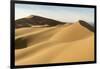 Khongor sand dunes in Gobi Gurvan Saikhan National Park, Sevrei district, South Gobi province, Mong-Francesco Vaninetti-Framed Photographic Print