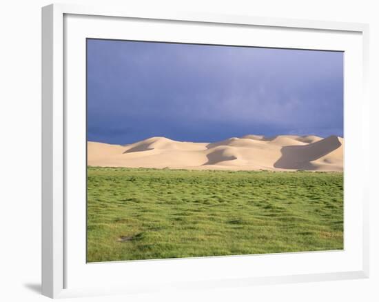 Khongryn Dunes, Gobi Desert, Gobi National Park, Omnogov Province, Mongolia, Central Asia-Bruno Morandi-Framed Photographic Print