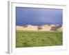 Khongryn Dunes, Gobi Desert, Gobi National Park, Omnogov Province, Mongolia, Central Asia-Bruno Morandi-Framed Photographic Print