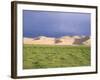 Khongryn Dunes, Gobi Desert, Gobi National Park, Omnogov Province, Mongolia, Central Asia-Bruno Morandi-Framed Photographic Print