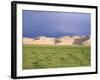 Khongryn Dunes, Gobi Desert, Gobi National Park, Omnogov Province, Mongolia, Central Asia-Bruno Morandi-Framed Photographic Print