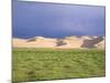 Khongryn Dunes, Gobi Desert, Gobi National Park, Omnogov Province, Mongolia, Central Asia-Bruno Morandi-Mounted Photographic Print