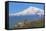 Khor Virap Monastery, 17th Century, Near Artashat, with Mount Ararat in Background, Armenia-null-Framed Stretched Canvas