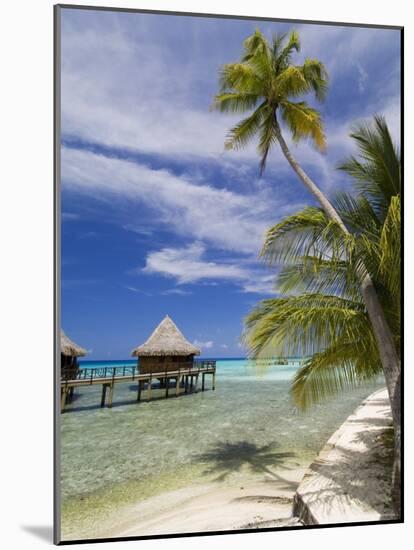 Kia Ora Resort, Rangiroa, Tuamotu Archipelago, French Polynesia Islands-Sergio Pitamitz-Mounted Photographic Print