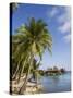 Kia Ora Resort, Rangiroa, Tuamotu Archipelago, French Polynesia Islands-Sergio Pitamitz-Stretched Canvas