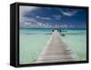 Kia Ora Resort, Rangiroa, Tuamotu Archipelago, French Polynesia, Pacific Islands, Pacific-Sergio Pitamitz-Framed Stretched Canvas