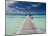 Kia Ora Resort, Rangiroa, Tuamotu Archipelago, French Polynesia, Pacific Islands, Pacific-Sergio Pitamitz-Mounted Photographic Print