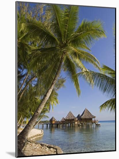 Kia Ora Resort, Rangiroa, Tuamotu Archipelago, French Polynesia, Pacific Islands, Pacific-Sergio Pitamitz-Mounted Photographic Print
